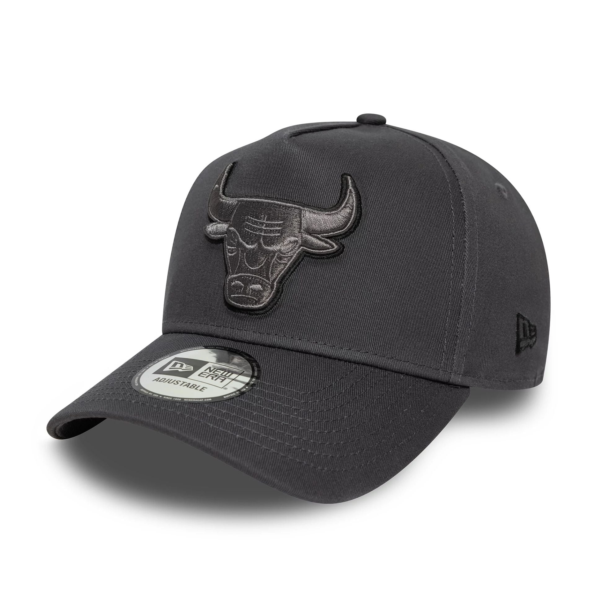 Chicago Bulls Team Outline Dark Grey 9FORTY E-Frame Adjustable Cap